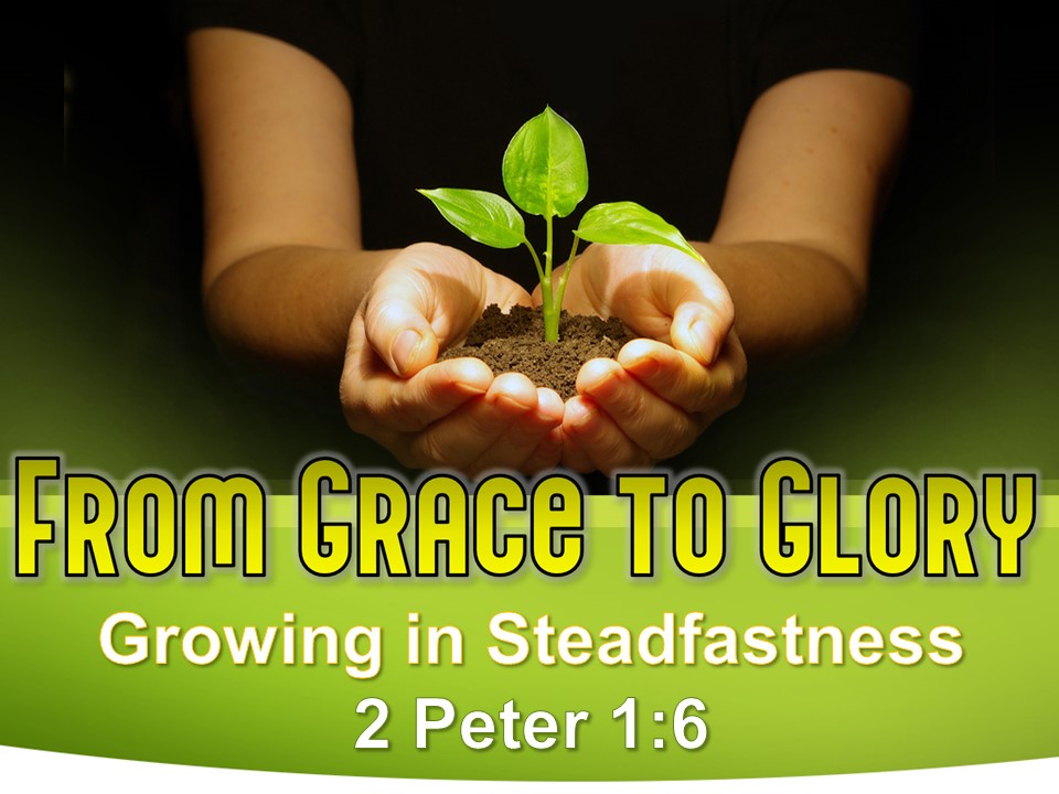 From Grace to Glory - Growing in Steadfastness
