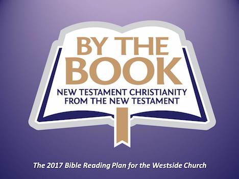 2017 Bible Reading Plan: By the Book
