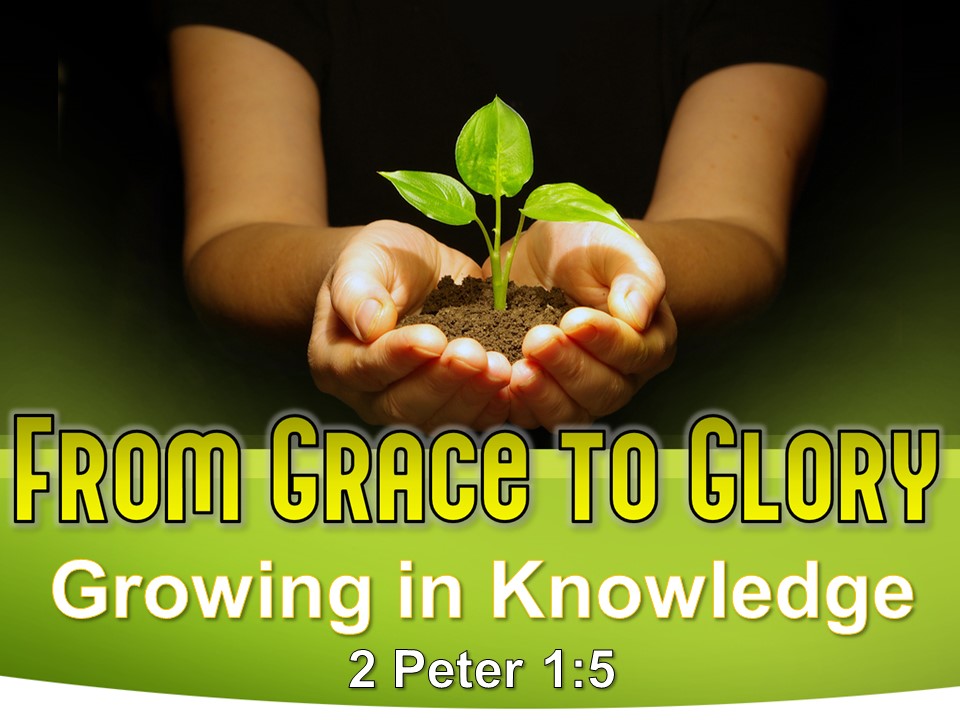 From Grace to Glory - The Growing Christian (4)